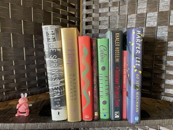 llama stay at spooky tooth ranch mtn views