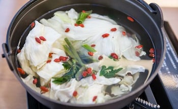 cingjing brilliant twins of seattle