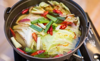 cingjing brilliant twins of seattle