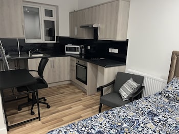 entire studio apartment london
