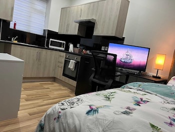 entire studio apartment london