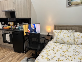 entire studio apartment london