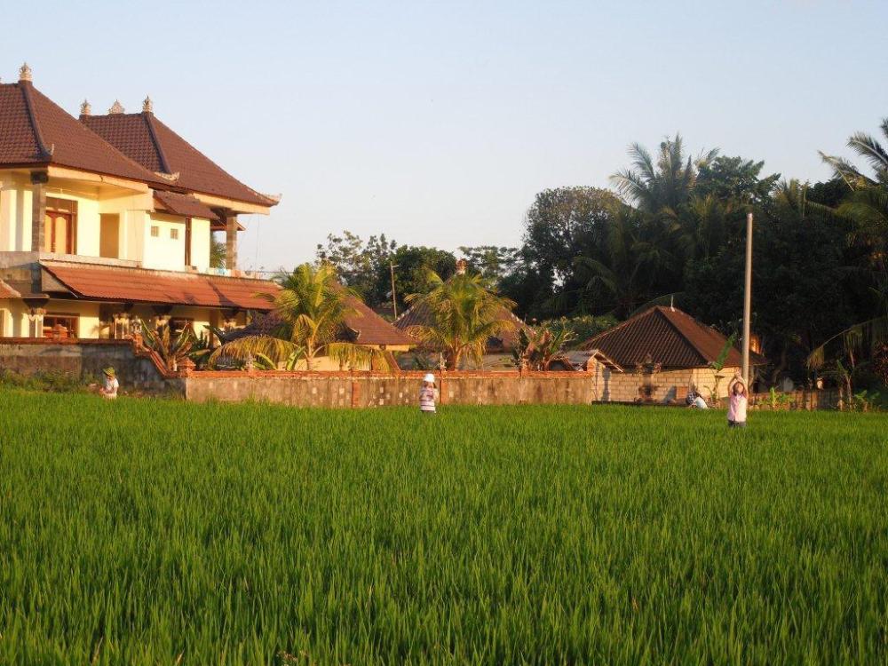 ubud