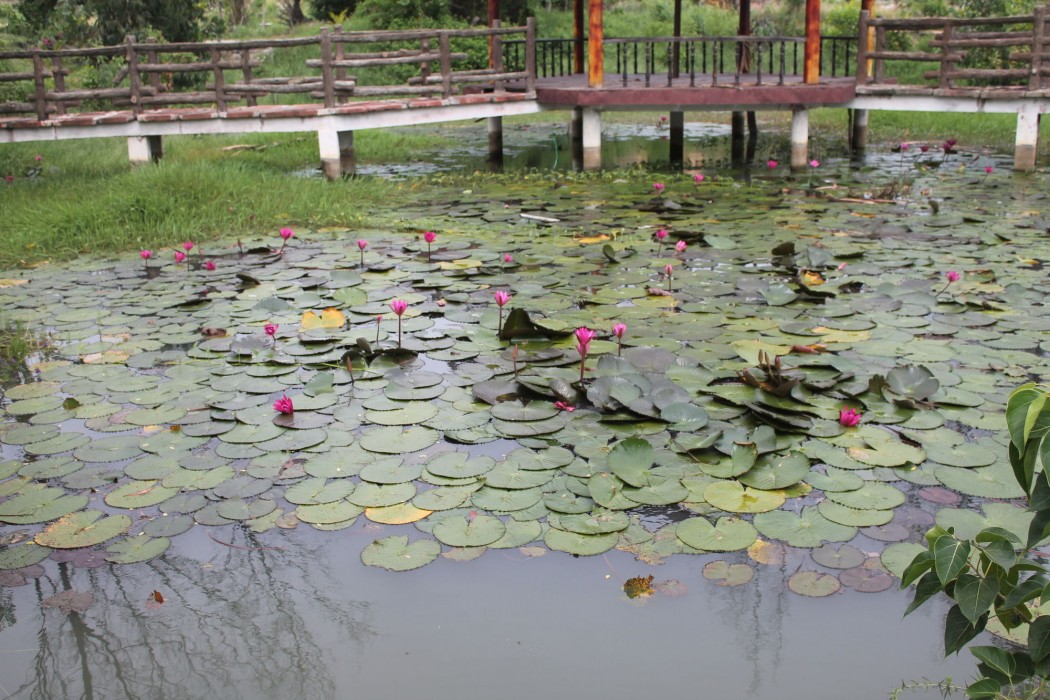 ham thuan nam