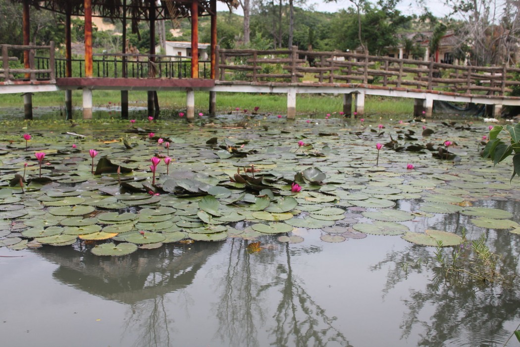 ham thuan nam
