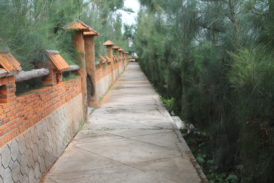 ham thuan nam