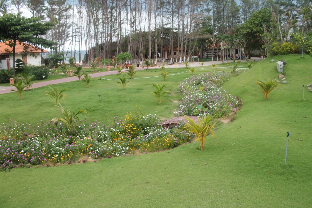 ham thuan nam