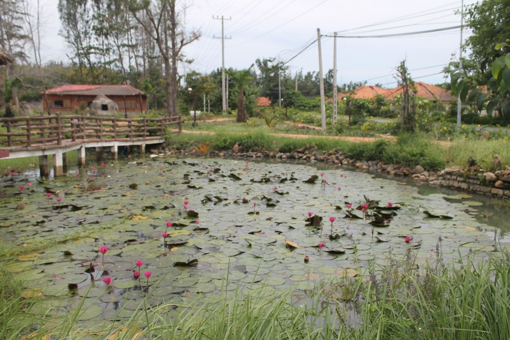 ham thuan nam
