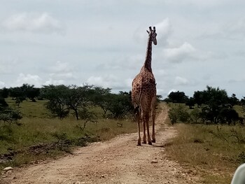 outback kenya lodge