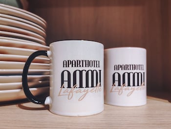 aparthotel ammi nice lafayette