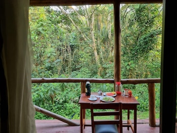 kibale river camp