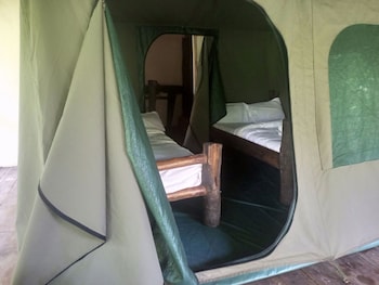 kibale river camp