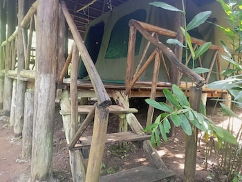 kibale river camp