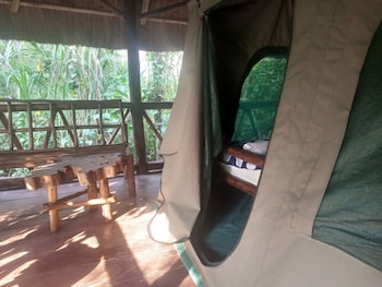 kibale river camp