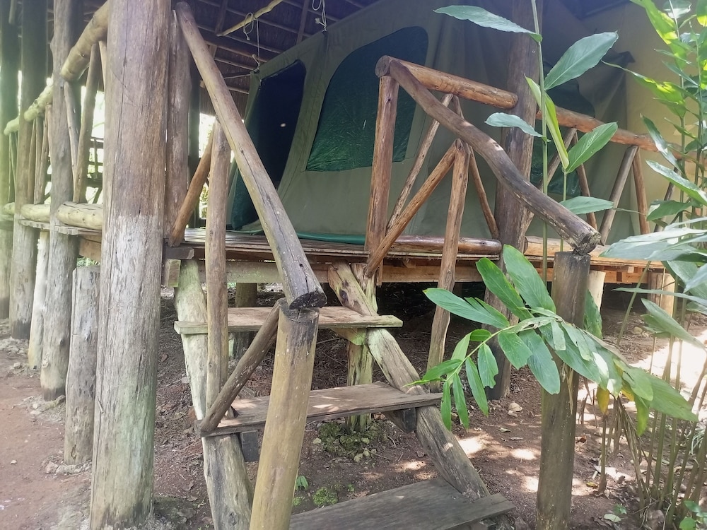 kibale river camp