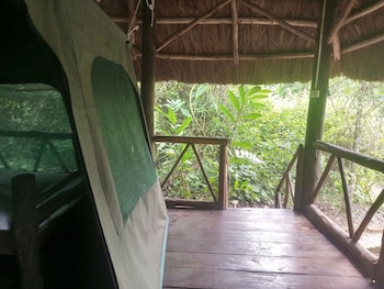 kibale river camp