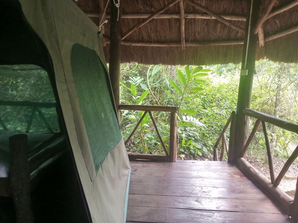 kibale river camp