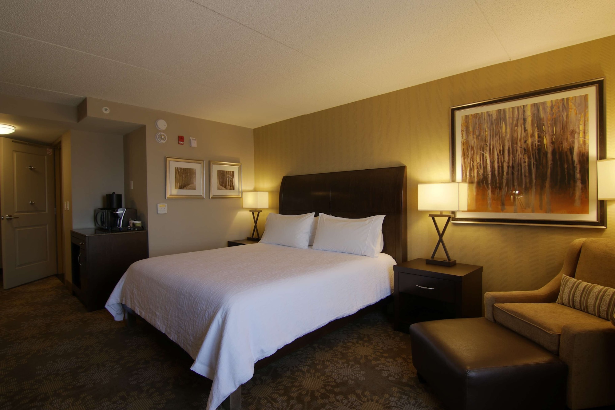 hilton garden inn toronto brampton