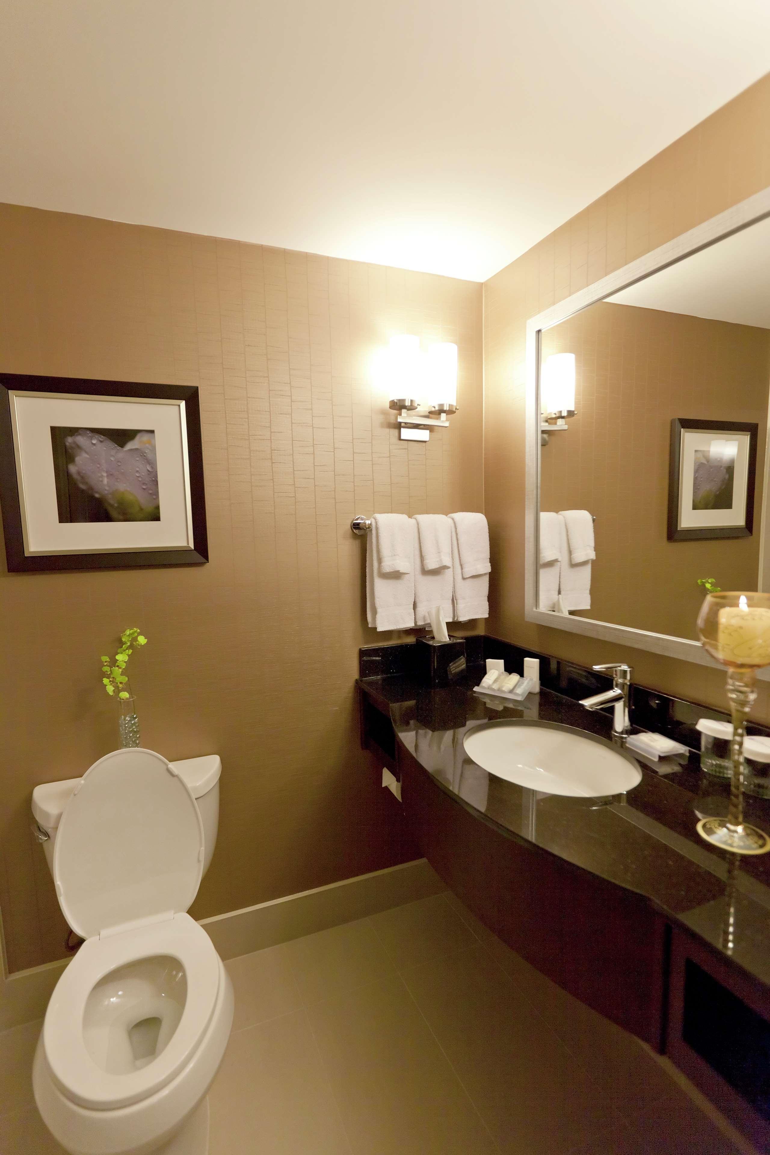 hilton garden inn toronto brampton