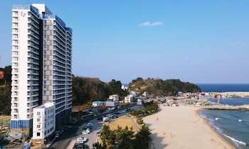 yangyang