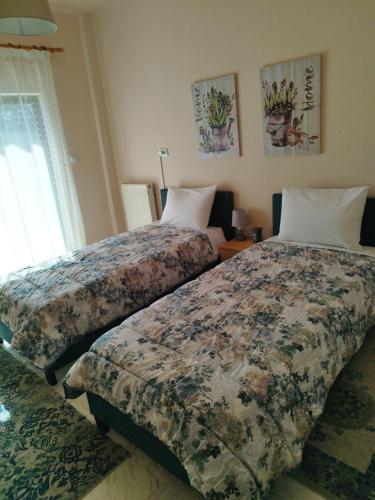 meteora house with a view