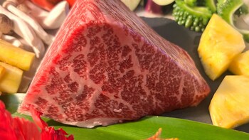 eight point resort okinawa glamping