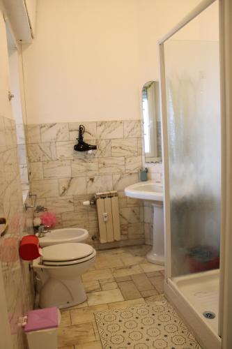 mikasa balduina roma