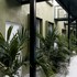 hotel oasis tropical