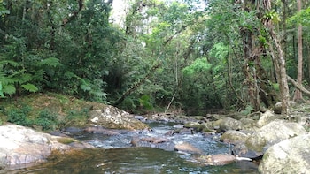 cananeia