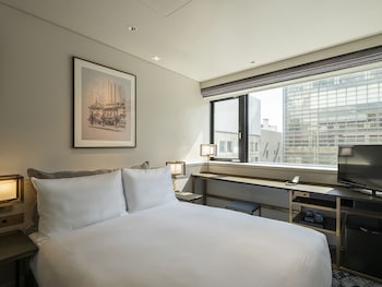 ginza hotel by granbell