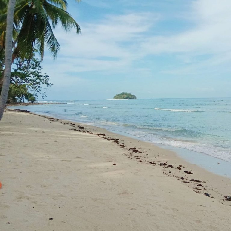 el nido