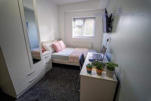 lovely homely studio available