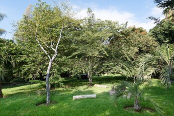 ajijic