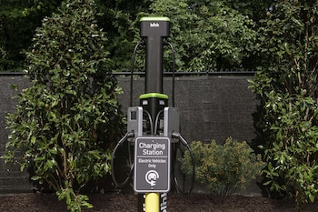 homewood suites by hilton greenville nc