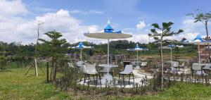 the valley guesthouse
