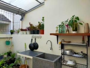 the valley guesthouse