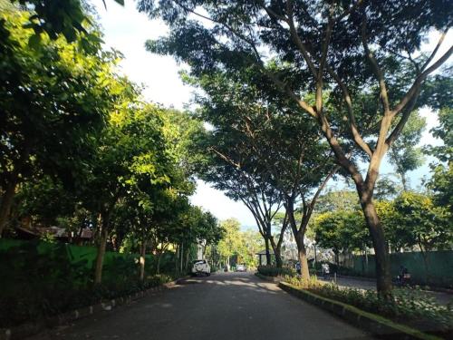 malang