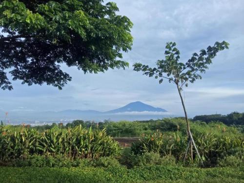 malang