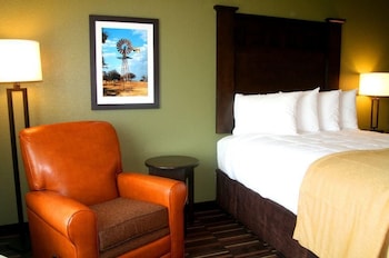 comfort inn and suites