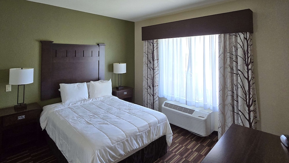 comfort inn and suites