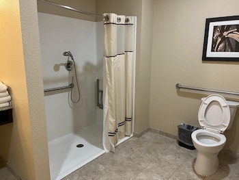 comfort inn and suites