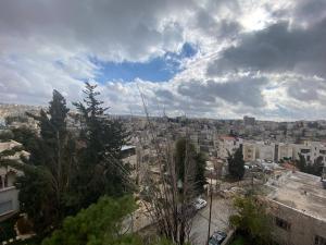 lemon tree residence