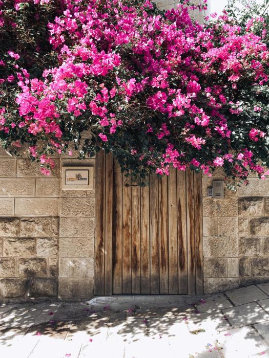 lemon tree residence