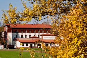 hotel piotr spa and wellness