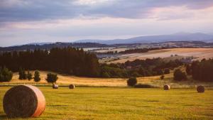 hotel piotr spa and wellness