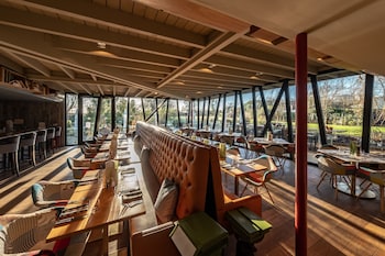 the weeping willow lodges