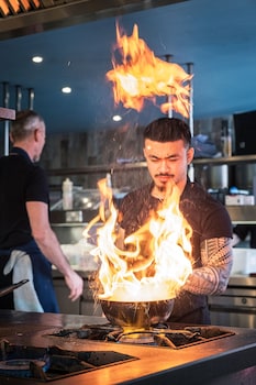 the weeping willow lodges