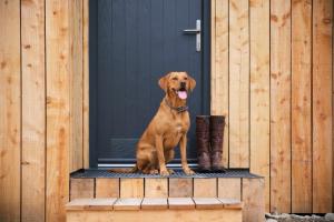 the weeping willow lodges