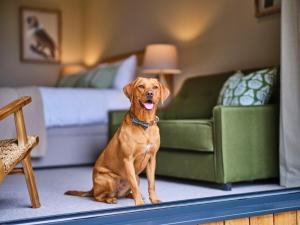 the weeping willow lodges