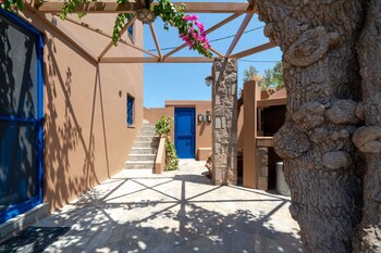 absolute perdika aegina